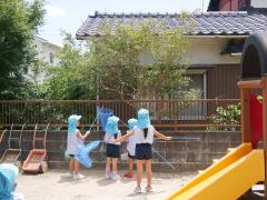 今年も　園庭には　セミが